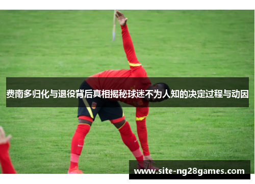 费南多归化与退役背后真相揭秘球迷不为人知的决定过程与动因