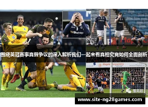 围绕英冠赛事真假争议的深入解析我们一起来看真相究竟如何全面剖析